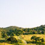 Green roof