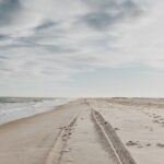 Assateague Island