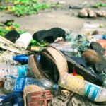 Food waste