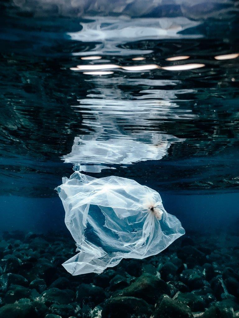 wastefree