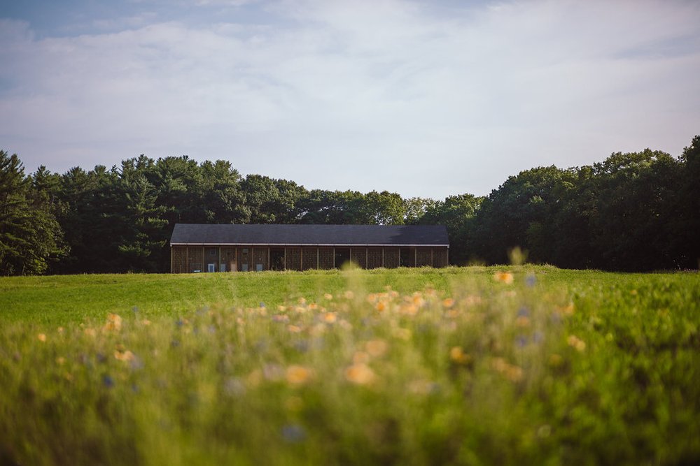 Glamping at Gather Greene