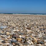 Glamping at Little Talbot Island Campgrounds