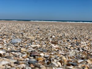 Glamping at Little Talbot Island Campgrounds