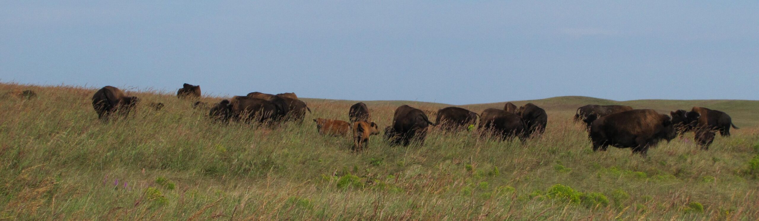 Glamping at Tallgrass Prairie National Preserve