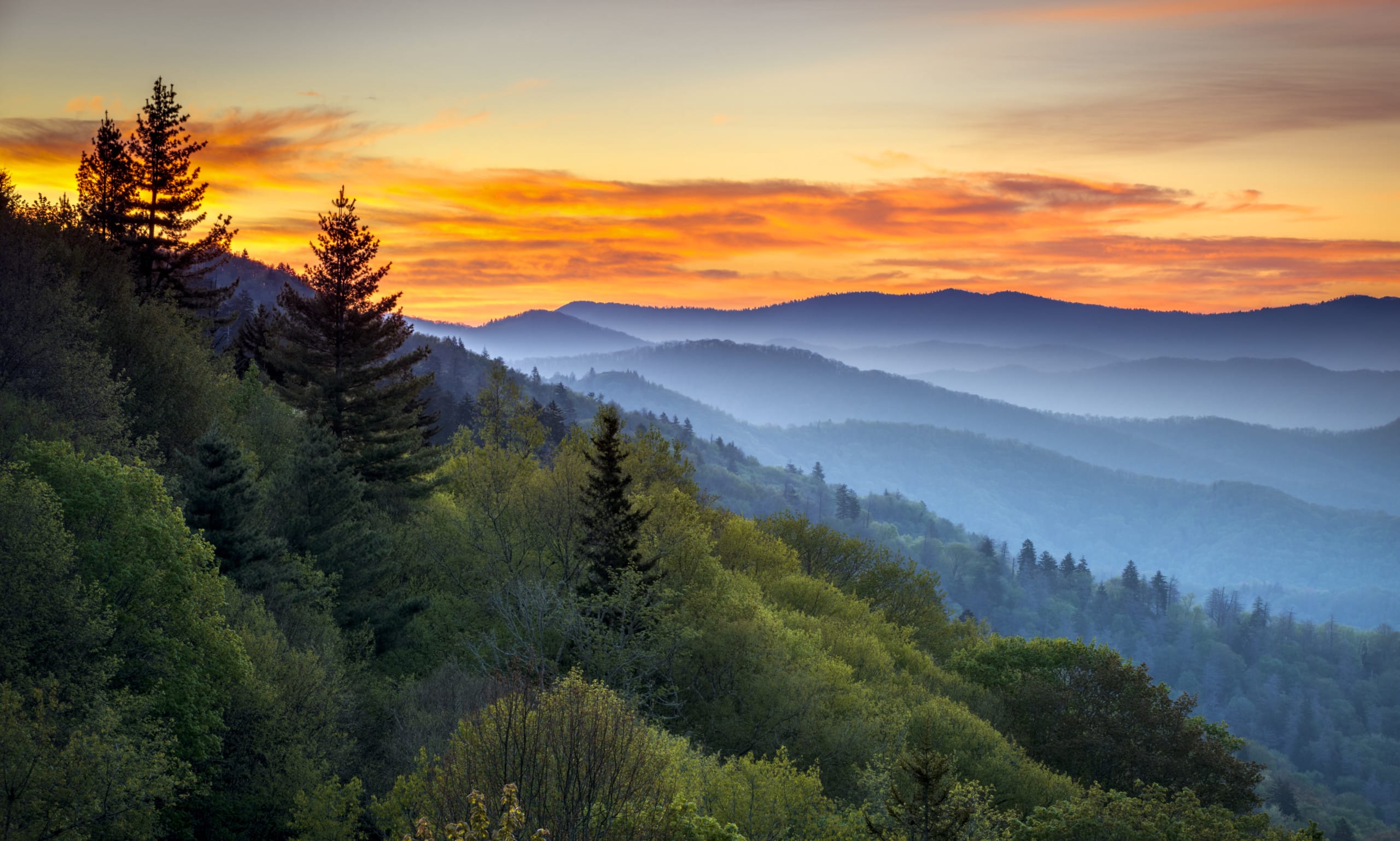 Glamping at Under Canvas Smoky Mountains