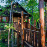 Glamping at Eureka Springs Treehouses