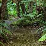 Glamping at Volcano Rainforest Retreat