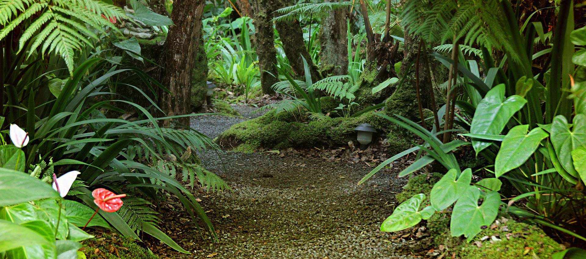 Glamping at Volcano Rainforest Retreat