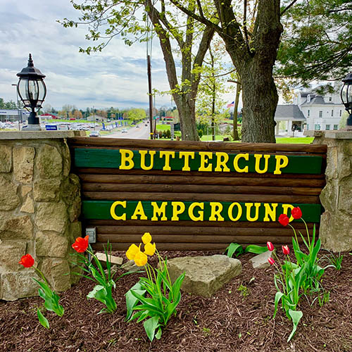 Glamping at Buttercup Woodlands Campground