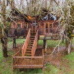 Glamping at Out'n'About Treehouse Treesort LLC