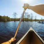 Glamping at Trap Pond State Park