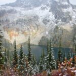 green pine trees near snow covered mountain during daytime