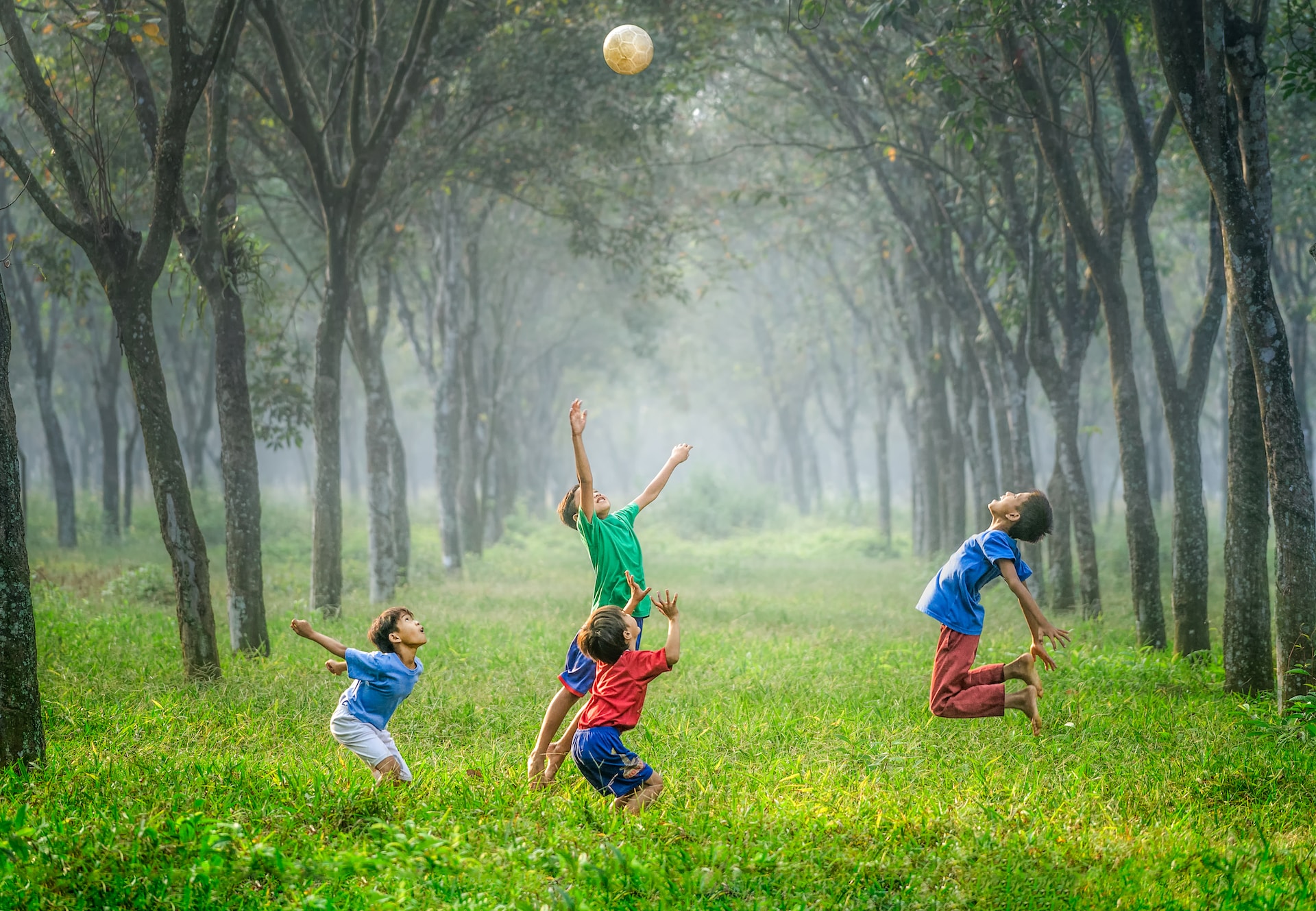 children exploring nature