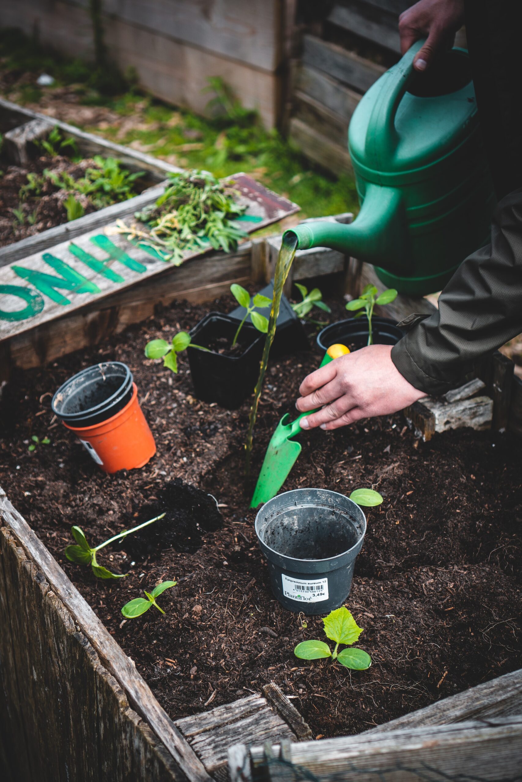 gardening retreat