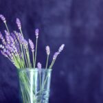 Dried colorful flowers