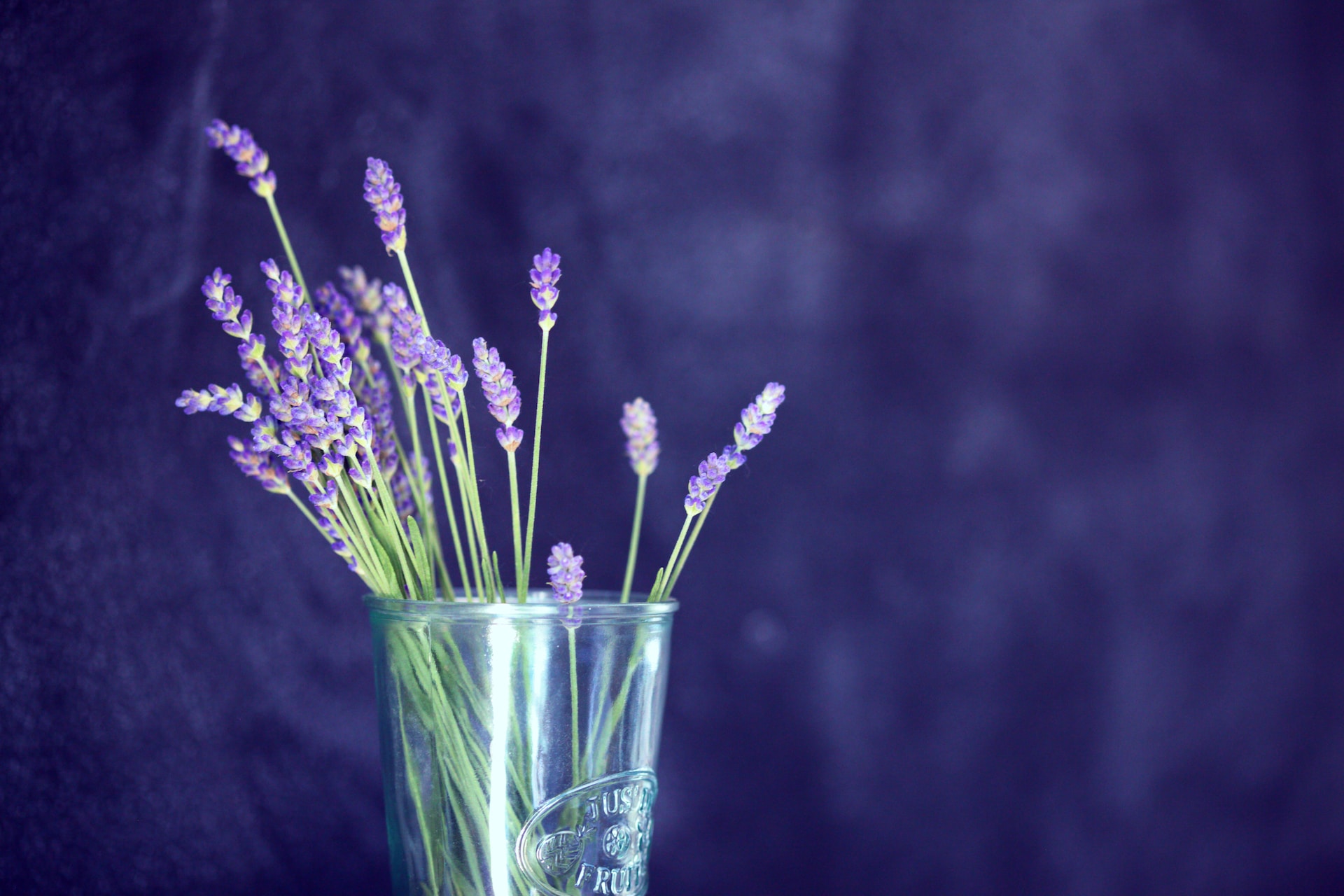 Dried colorful flowers