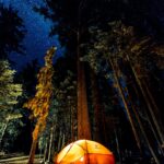 Family camping stars