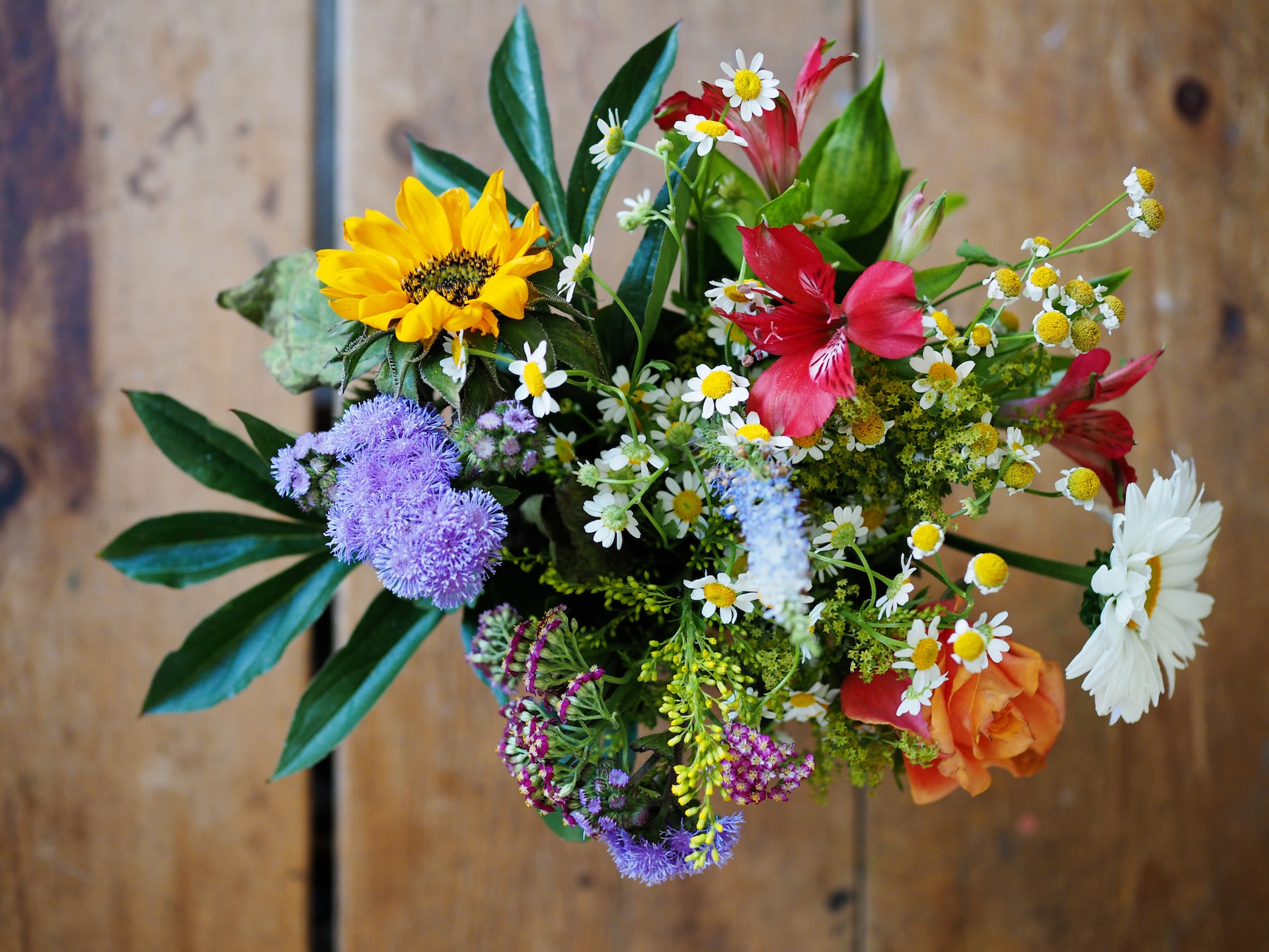 Pressed flowers arrangement