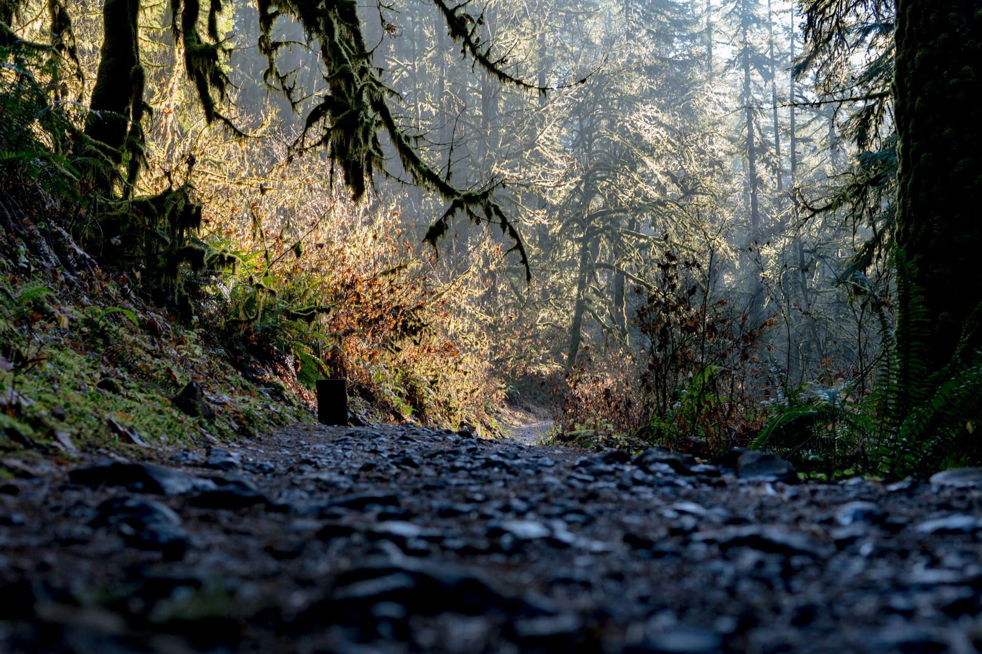 Autumn hiking trail