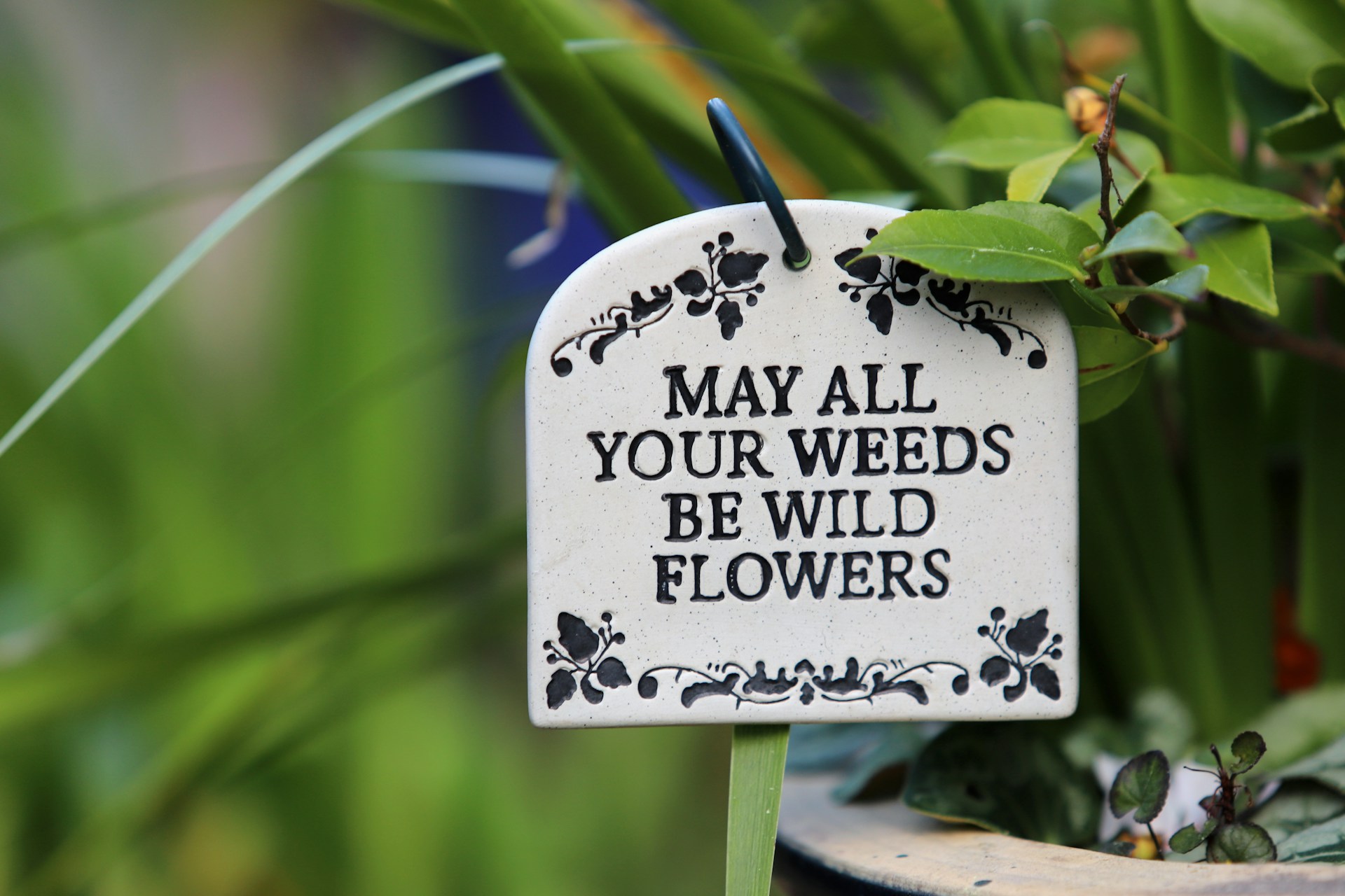 garden art