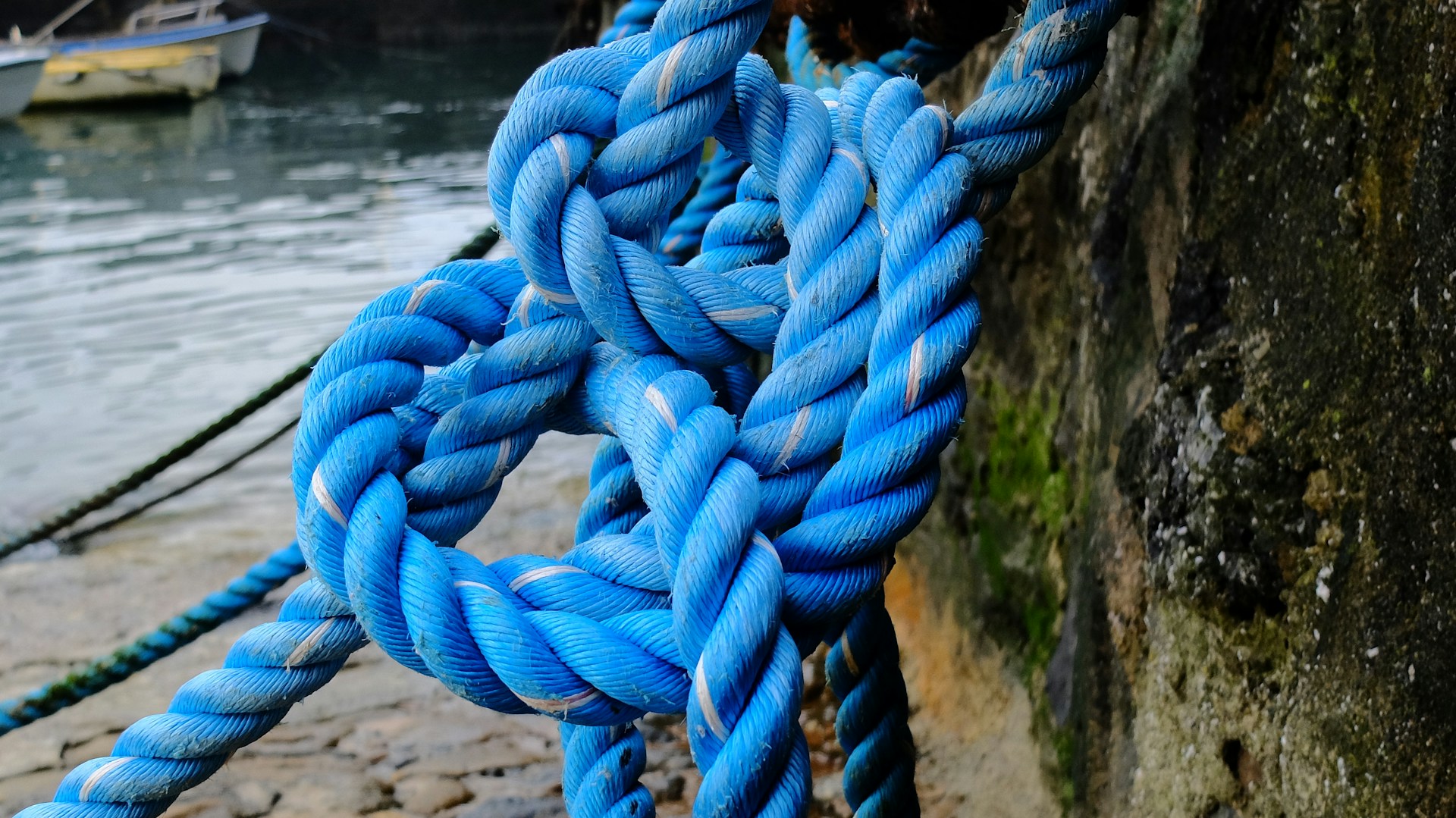 Double Half Hitch Knot