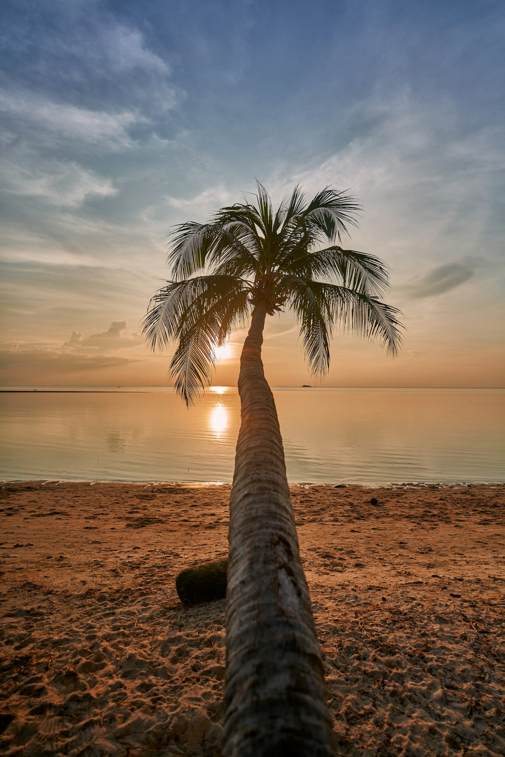 solitude