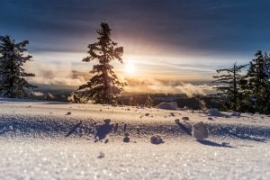 snow shelter