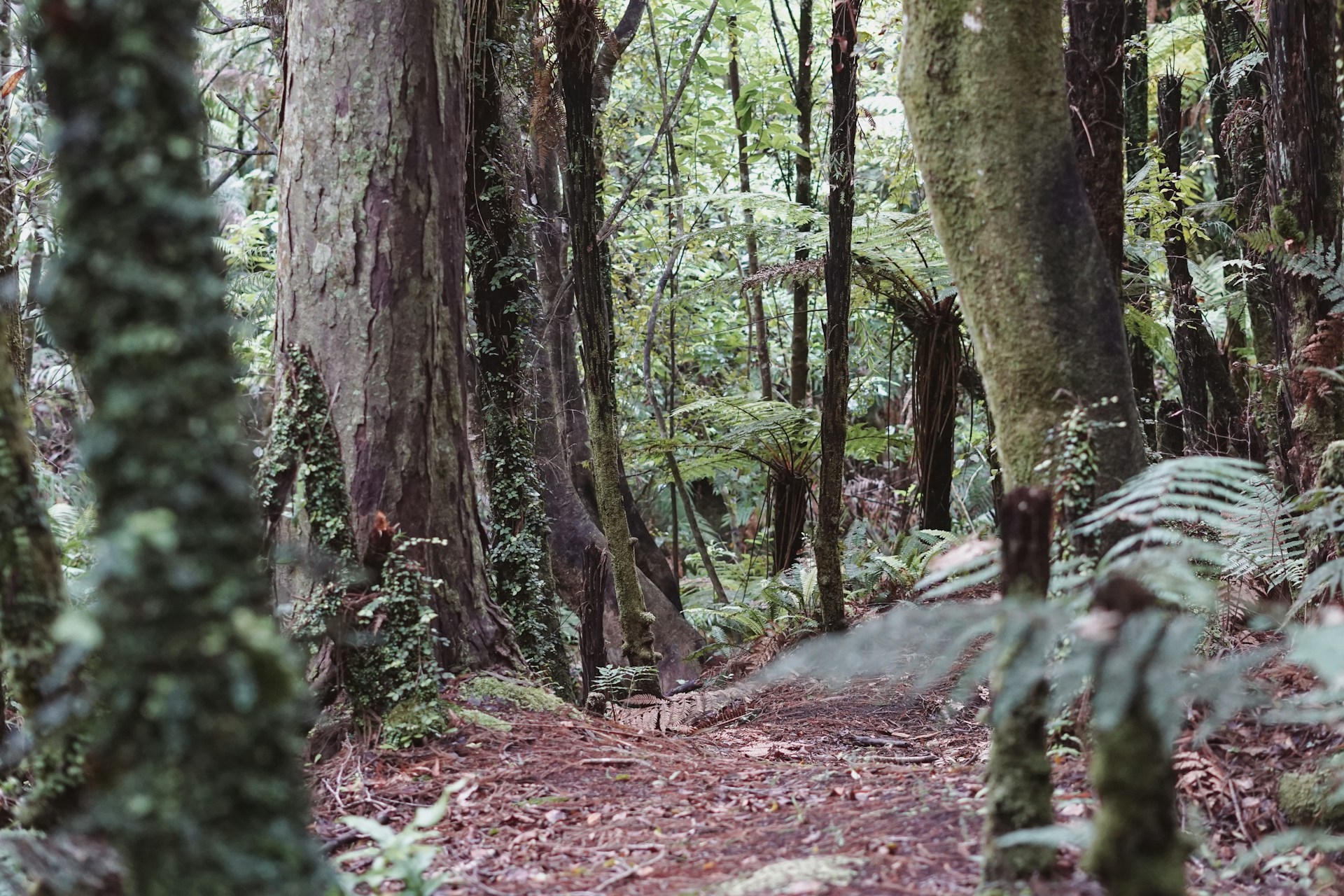 hiking research